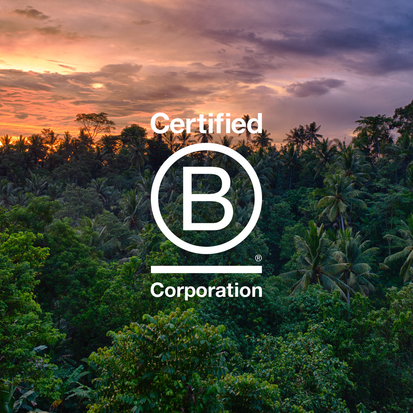 bcorp Certified B Corp