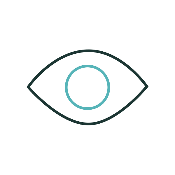 Endevo_Icons_600x600_Visionary endevo Visionary icon
